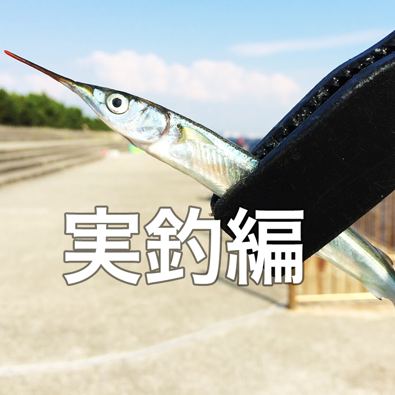 大阪湾のサヨリ釣りスタートガイド 実釣編 Fam Fishing