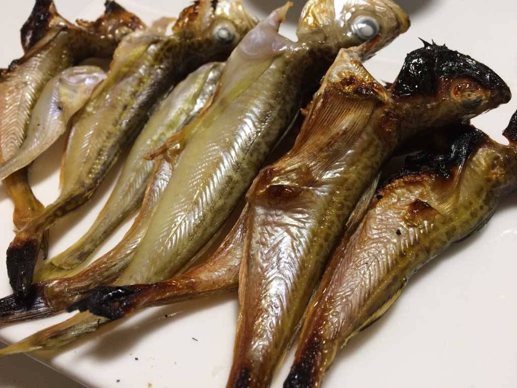 魚の干物はかんたんに作れる 塩水に漬けて干すだけ Fam Fishing 魚の干物はかんたんに作れる 塩水に漬けて干すだけ Fam Fishing
