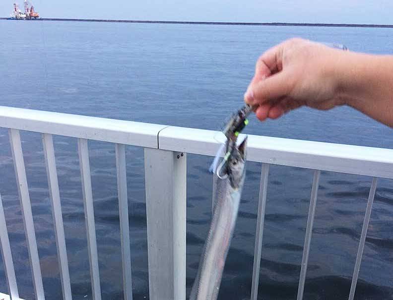 フェンスがある釣り場のマストアイテム スーパーパイプ受太郎 Fam Fishing フェンスがある釣り場のマストアイテム スーパーパイプ受太郎 Fam Fishing