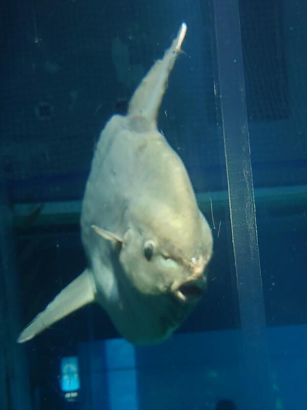 水族館