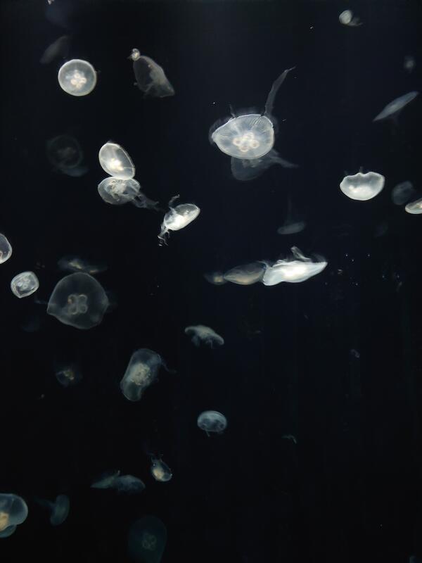 水族館