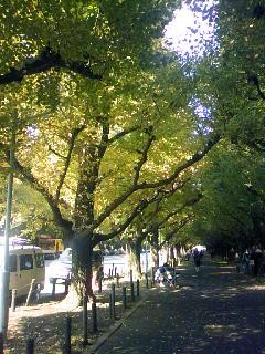f:id:digicon:20091107122205j:image
