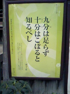 f:id:digicon:20101013143003j:image