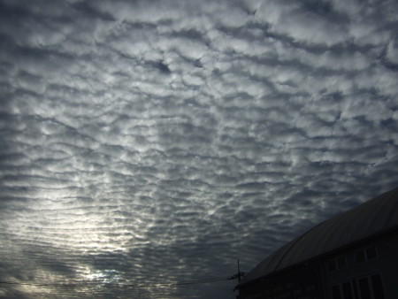 20080927165823