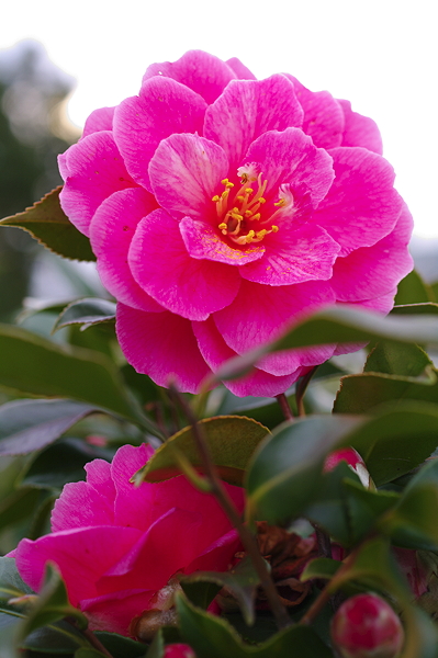 20100214165438