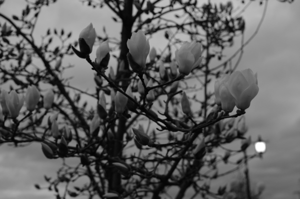 20100307180339