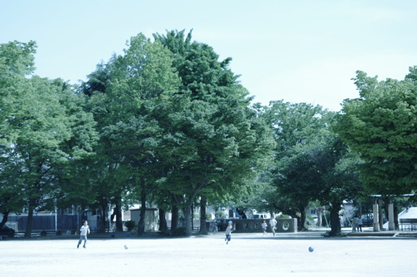 20100516150105