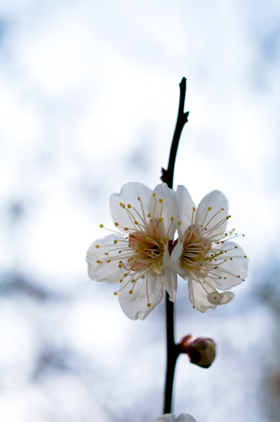 20110320010136