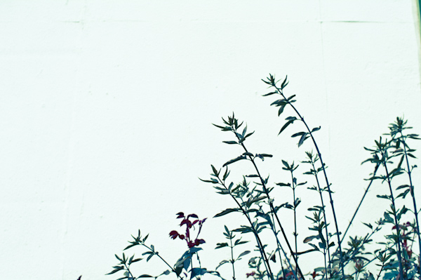 20110321174403