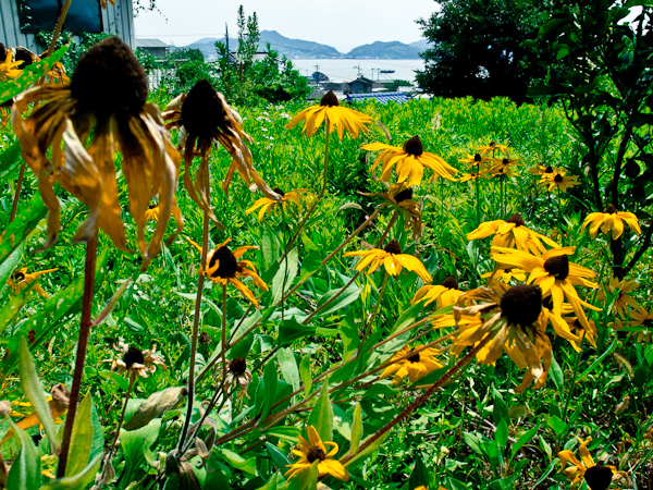 20110815001123