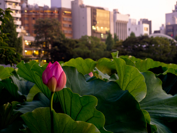 20110918023216