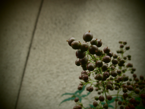 20110920010349
