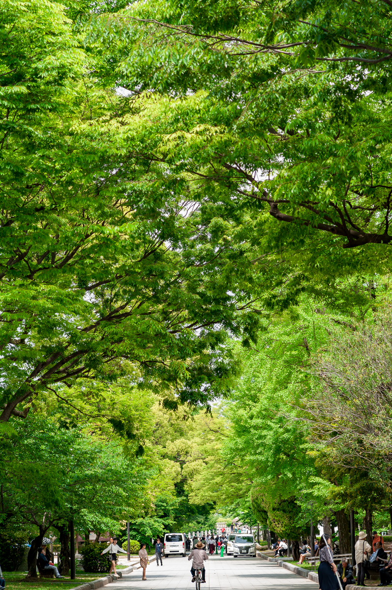 f:id:digistill:20190505230303j:plain