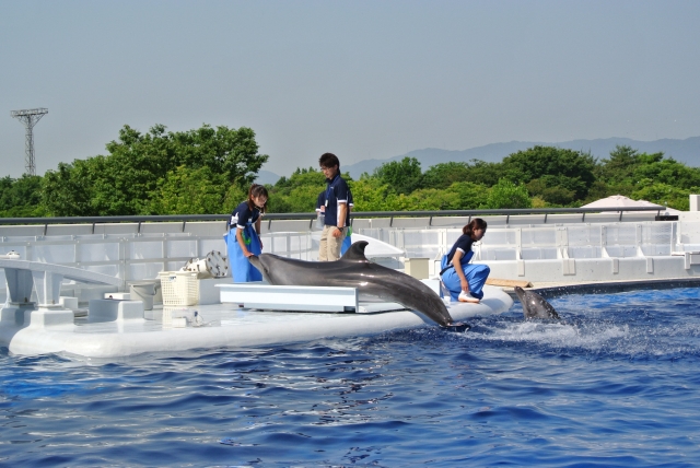 20140531212536