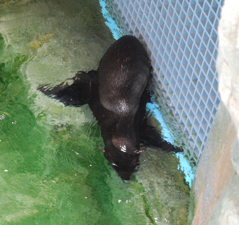 f:id:digistyle-kyoto:20140903133802j:image:w360