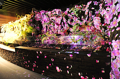 f:id:digistyle-kyoto:20150320114137j:image