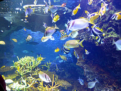 f:id:digistyle-kyoto:20150320114332j:image