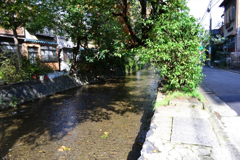f:id:digistyle-kyoto:20161107204340j:image