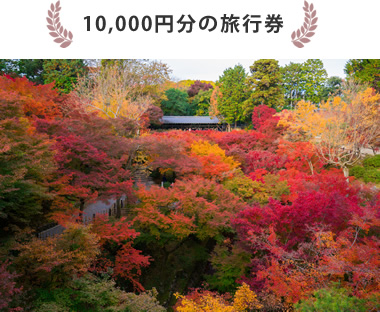 f:id:digstaff:20160914112648j:plain f:id:digstaff:20160914112648j:plain