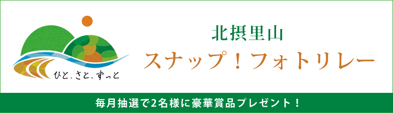 f:id:digstaff:20161021180515p:plain