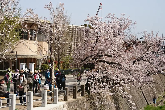 f:id:digstaff:20180414150723j:plain f:id:digstaff:20180414150723j:plain