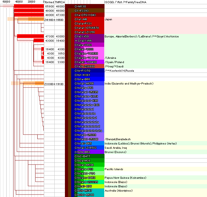 分岐年代でわかるY染色体ハプログループC 知識探偵クエビコ