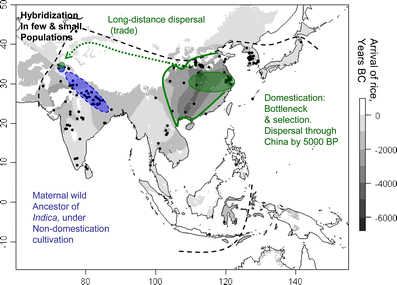 f:id:digx:20170409025605g:plain