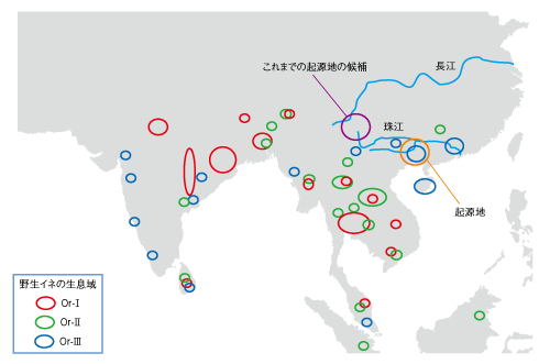 日本語版イネ起源地図