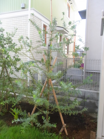 f:id:dik:20110824071027j:image