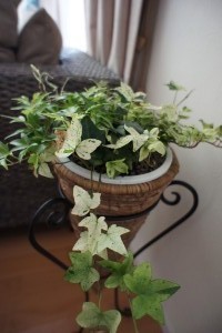 f:id:dik:20120518222543j:image f:id:dik:20120518222543j:image