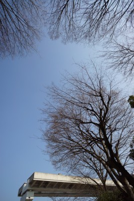 f:id:dik:20130317071324j:image