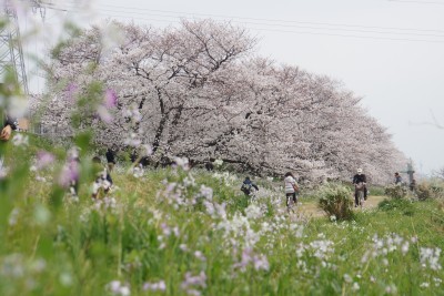 f:id:dik:20130324182352j:image