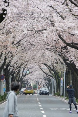 f:id:dik:20130331185110j:image