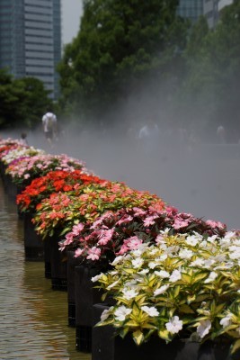 f:id:dik:20130630100718j:image f:id:dik:20130630100718j:image