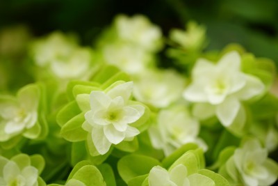 f:id:dik:20130713220157j:image