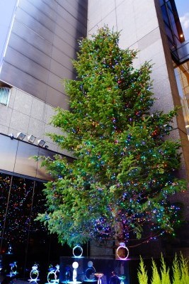 f:id:dik:20131215061927j:image