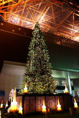 f:id:dik:20131215061930j:image