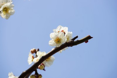 f:id:dik:20140312233534j:image f:id:dik:20140312233534j:image