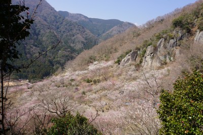 f:id:dik:20140316213830j:image