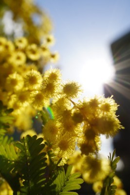 f:id:dik:20140322173444j:image