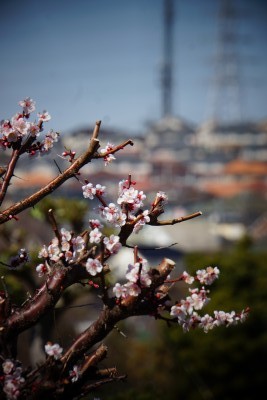 f:id:dik:20140322173448j:image
