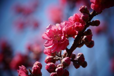 f:id:dik:20140322173746j:image