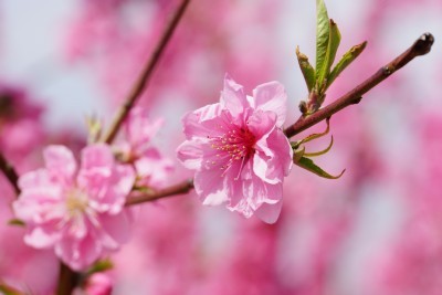 f:id:dik:20140329180627j:image