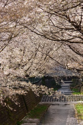 f:id:dik:20140412074433j:image