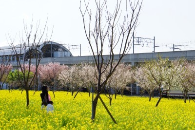f:id:dik:20140412075620j:image