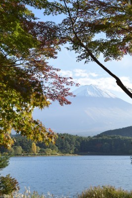 f:id:dik:20141026090528j:image