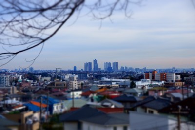f:id:dik:20150102170610j:image f:id:dik:20150102170610j:image