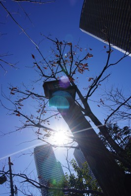 f:id:dik:20150112164215j:image