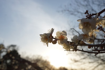 f:id:dik:20150301002530j:image