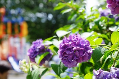 f:id:dik:20150621225220j:image f:id:dik:20150621225220j:image